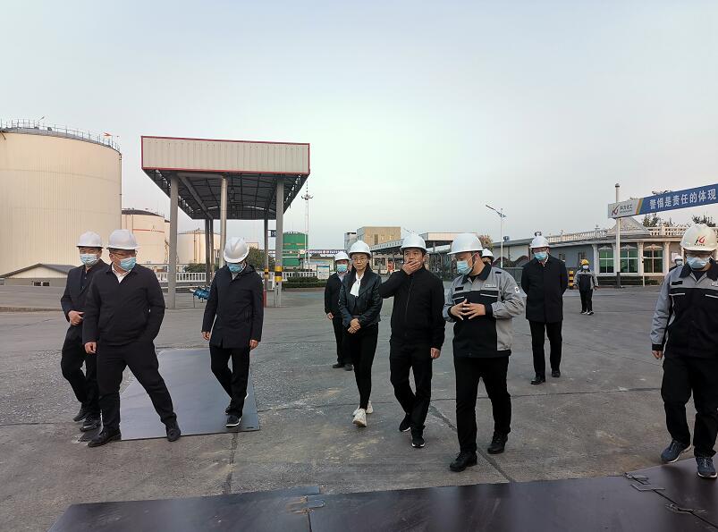 省發(fā)改委動能轉(zhuǎn)換考核處處長張善和一行到我公司實(shí)地調(diào)研